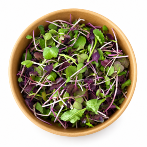 Sprouts / Bean Sprouts (per barquet)