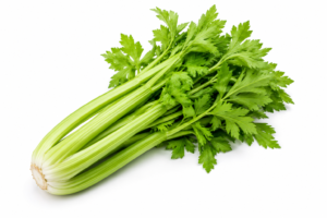 Céleri / Celery (per pkt)
