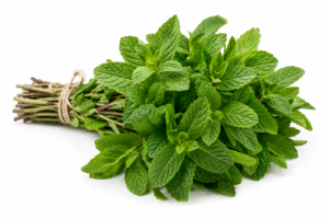 La Menthe / Fresh Mint (per pkt)