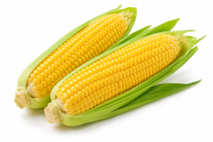 Maïs / Corn (per pc)