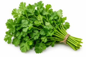 Cotomili / Fresh Coriander (per pkt)