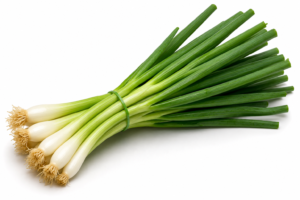 Queue d'Oignon / Spring Onion (per pkt)