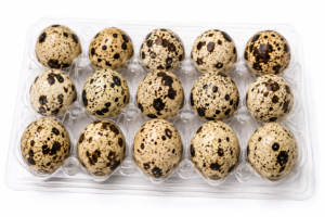 Plateau Oeufs de Caille / Quail Eggs Tray (15 pcs)