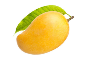 Mangue (Seasonal)