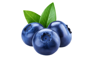 Blueberry / Myrtilles (per barquet)