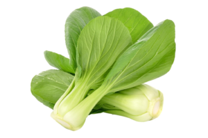 Tom Pouce / Bok Choy (per 500g)